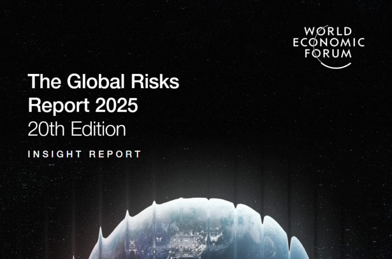 The Global Risks Report 2025