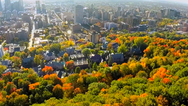 A Fall Morning at Mount Royal Park, Montreal