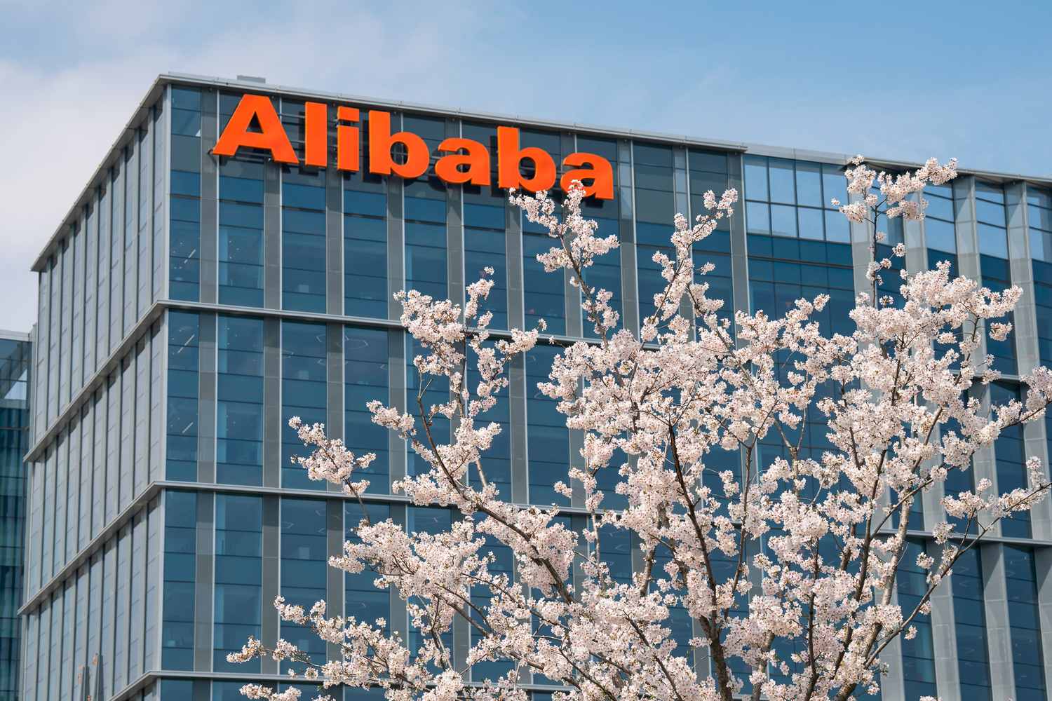 Alibaba annuncia la ripresa delle assunzioni e segnala una possibile bolla dell’IA negli Stati Uniti