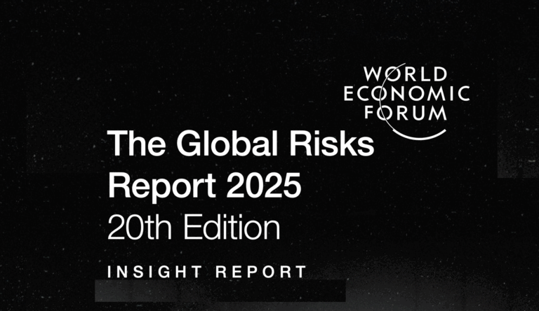 Global Risks Report 2025